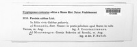 Image Associated With the Occurrence